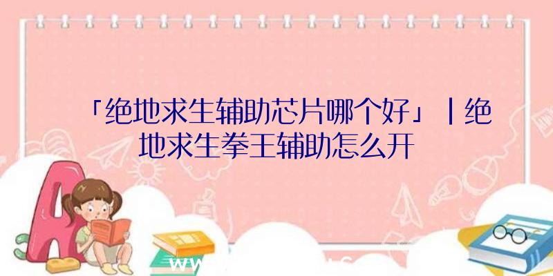 「绝地求生辅助芯片哪个好」|绝地求生拳王辅助怎么开